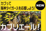 阪神タイガース応援グッズ帽子カブリエール！