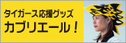 阪神タイガース応援グッズ帽子カブリエール！